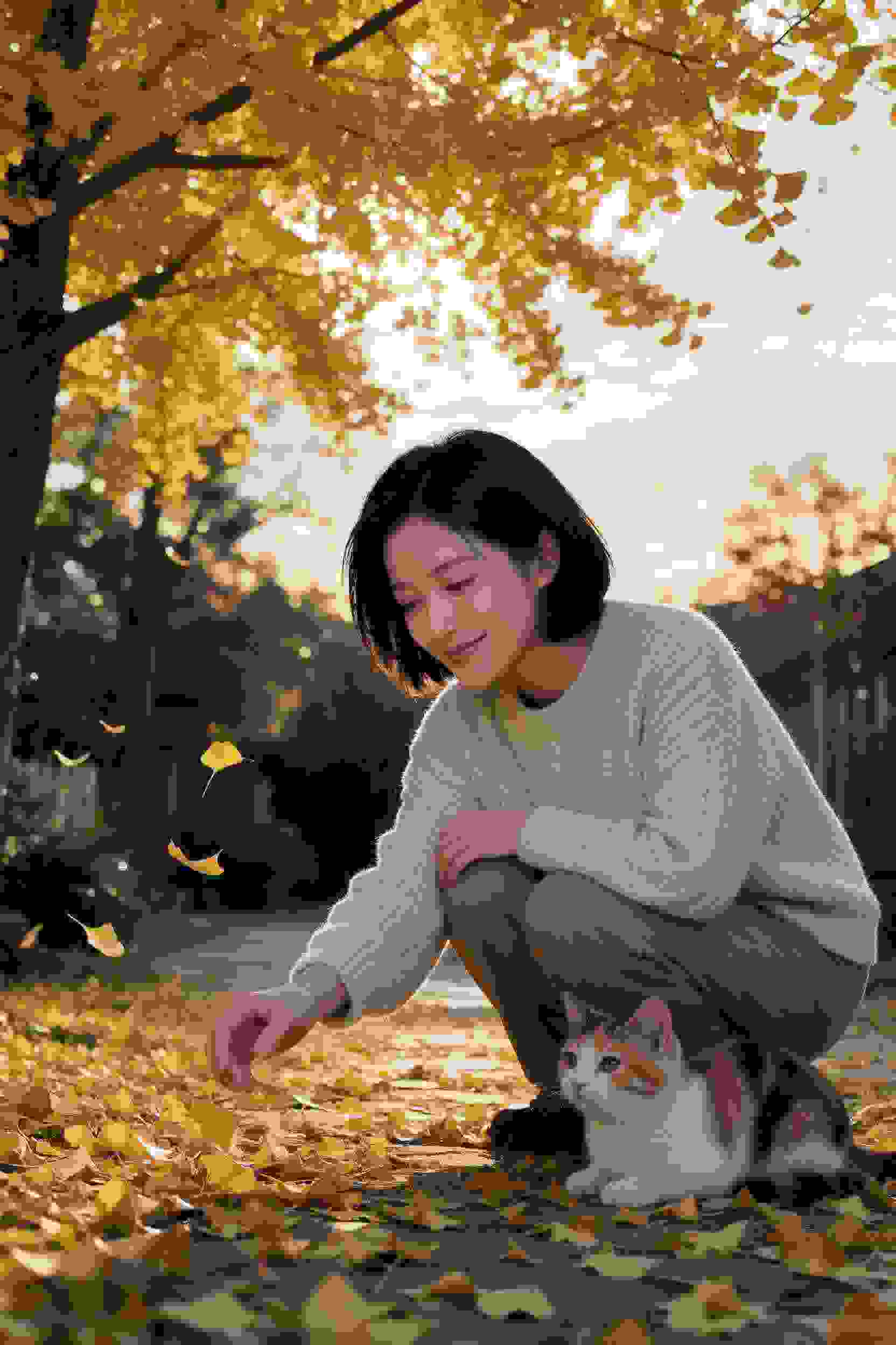 卡牌